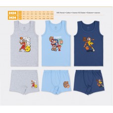 BR Набір6 білизни для хлопчика(майка+боксери) 2434/3434    6(3) шт.