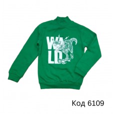 Tr Реглан-стійка утеплений для хлопчика CitCit 10200  5-8    4шт