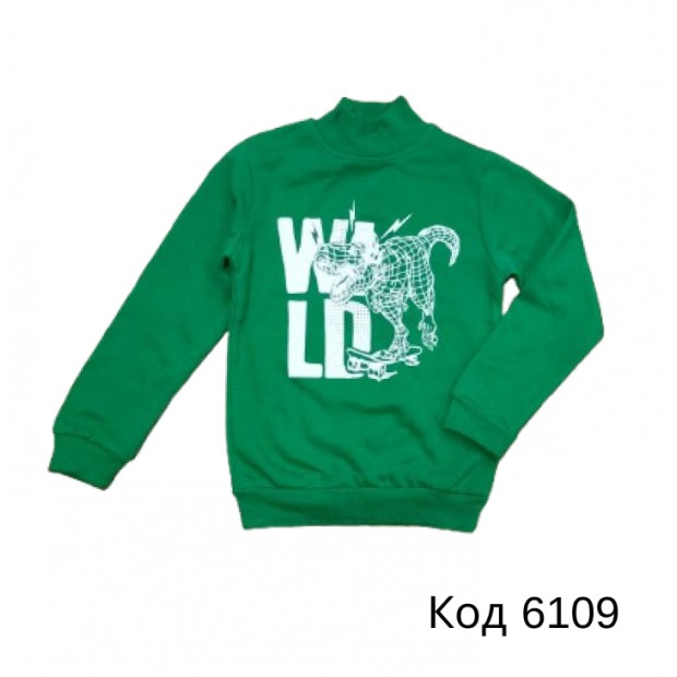 Tr Реглан-стійка утеплений для хлопчика CitCit 10200  5-8    4шт