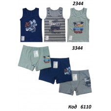 BR Набір білизни для хлопчика(майка+боксери) 2344/3344      6(3)шт.