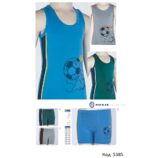 BR Набір білизни для хлопчика(майка+боксери) 2666/3666    6(3) шт.