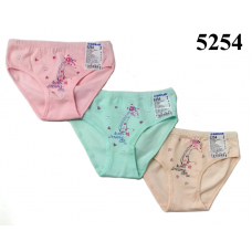 BR Труси для дівчинки  5254,99    06,    12(3) шт.