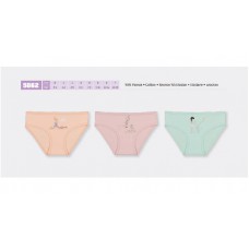 BR Труси для дівчинки  5862,99    06,07    12(6) шт.