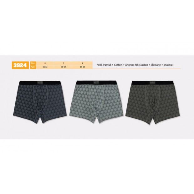 BR Шорти боксери для хлопчика 3908  ПІДЛІТОК  6(3) шт