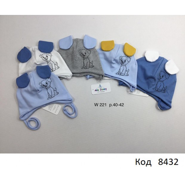 AlaBabyШапка трикотажна для хлопчика (на зав'язках) W-221 40-42  5 шт.