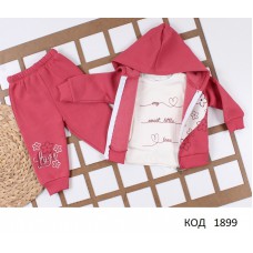 Tr Костюм 3-ка для дівчинки 3-х нитка начос  STAR 314 9міс.-3роки 4 шт.