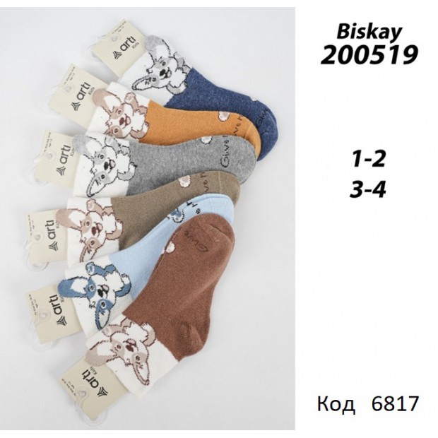 ArtiKatamino Шкарпетки бавовняні для хлопчика МАЛЮНОК 200519 Мікс кольорів  12(3) шт.