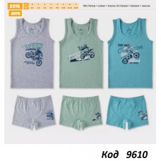 BR Набір білизни для хлопчика(майка+боксери) 2376/3376       06,07  6(3)шт.