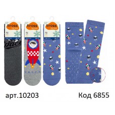 Bross Шкарпетки махрові для хлопчика ABS МАЛЮНОК 10203  МІКС 12(3) шт.