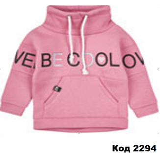Толстовка девочка 3-х.нитка 3ТФ136     134-146    3(2)шт