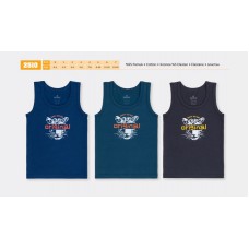 BR Майка для хлопчика 2510  06   6(3) шт