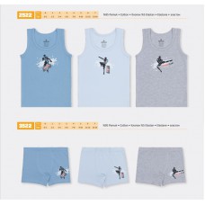 BR Набір6 білизни для хлопчика(майка+боксери) 2522/3522   6(3)шт.