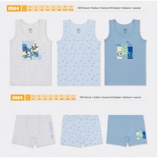 BR Набір6 білизни для хлопчика(майка+боксери) 2524/3524    6(3) шт.