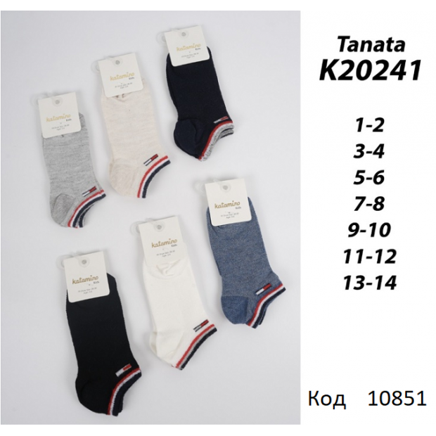 ArtiKatamino Шкарпетки бавовняні для хлопчика короткі СІТКА  К20241  МІКС кольорів 12(3) шт.