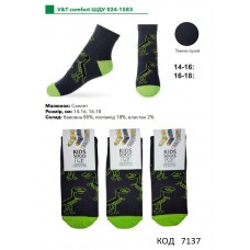 V&T Шкарпетки бавовняні для хлопчика ШДУ 024-1583  14-16/16-18  12(3)шт