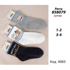 ArtiKatamino Шкарпетки бавовняні для хлопчика МАЛЮНОК 858079 Мікс кольорів  12(3) шт.