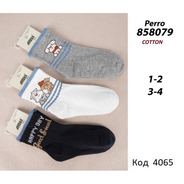 ArtiKatamino Шкарпетки бавовняні для хлопчика МАЛЮНОК 858079 Мікс кольорів  12(3) шт.