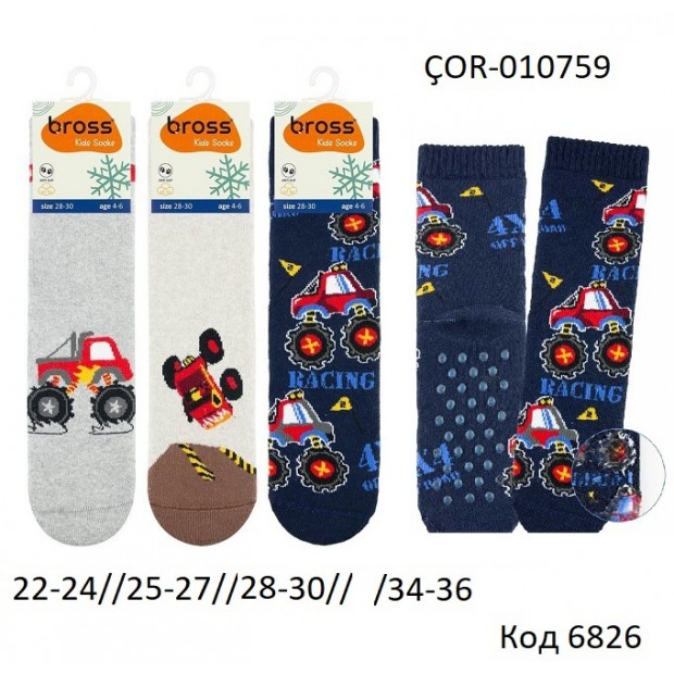 Bross Шкарпетки махрові для хлопчика ABS МАЛЮНОК ÇOR-010759  МІКС 12(3) шт.