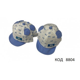 Кепка  для хлопчика Котики   розмір 50   5 (2)шт
