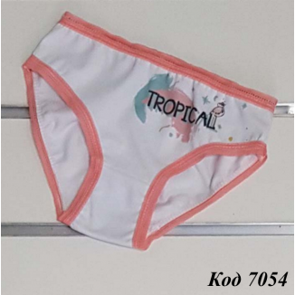 Трусы дев стр.-кулир ТК-257 цветн. 92,98,104,110  10шт