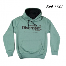 Tr Реглан з капюшоном для хлопчика Bold 6908  140-176  4 шт