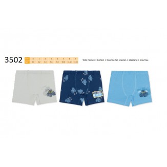 BR Шорти боксери для хлопчика 3502  06,07   6(3) шт