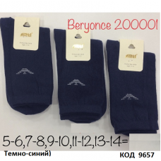 ArtiKatamino Шкарпетки бавовняні для хлопчика Значок 200001 ОДНОТОН  12(3) шт.