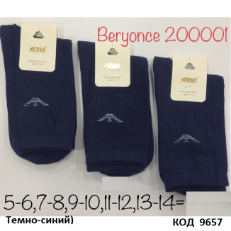 ArtiKatamino Шкарпетки бавовняні для хлопчика Значок 200001 ОДНОТОН  12(3) шт.