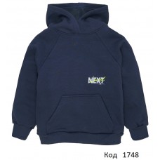 ТТ Худі для хлопчика футер начос 4222305нхт   116-134  4 шт