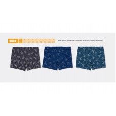 BR Шорти боксери для хлопчика 3518  06,07   6(3) шт