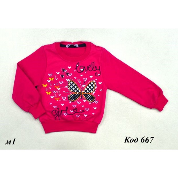 Tr Реглан для дівчинки СМК 89192 начос  1-4   4шт