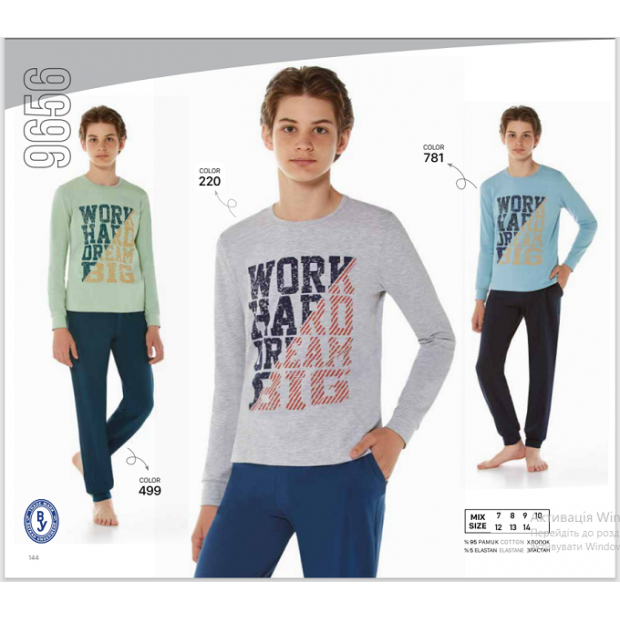 BR Піжама для хлопчика 12,13,14 стрейч/бавовна  9656   12,13,14  3 шт.