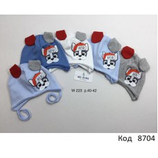 AlaBabyШапка трикотажна для хлопчика (на зав'язках) W-223 40-42  5 шт.