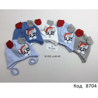 AlaBabyШапка трикотажна для хлопчика (на зав'язках) W-223 40-42  5 шт.