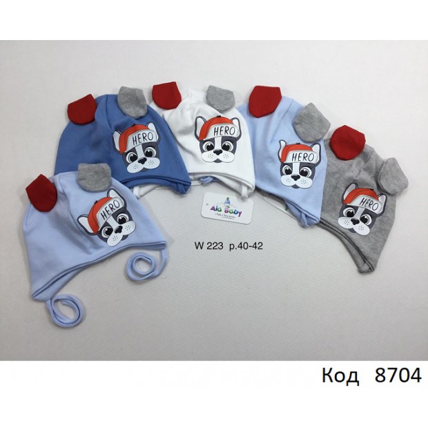 AlaBabyШапка трикотажна для хлопчика (на зав'язках) W-223 40-42  5 шт.