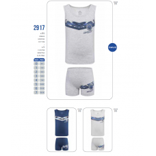BR Набір білизни для хлопчика(майка+боксери) 2917.     6(3)шт.