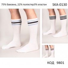 YO Шкарпетки дорослі УНІ  SKA-0130U зі смужкою   МІКС кольорів    35-38//39-41   3  шт