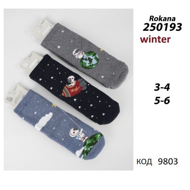 ArtiKatamino Шкарпетки махрові для хлопчика МАЛЮНОК 250193  МІКС   12(3) шт.