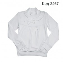 Tr Кофта-стійка стрейч VRD 5677   110-128  4 шт