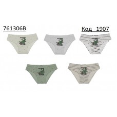 Труси для  хлопчика Doni  761306B 10(5) шт.