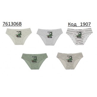 Труси для  хлопчика Doni  761306B 10(5) шт.