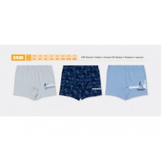 BR Шорти боксери для хлопчика 3430  06,07   6(3) шт