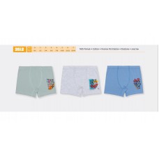 BR Шорти боксери для хлопчика 3512  06,07   6(3) шт