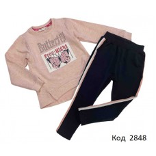 Tr Костюм 2-х нитка для дівчинки Breeze 13080  110-134  5(3) шт.