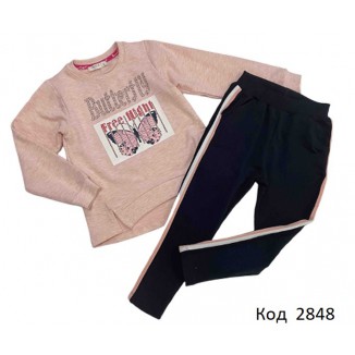 Tr Костюм 2-х нитка для дівчинки Breeze 13080  110-134  5(3) шт.