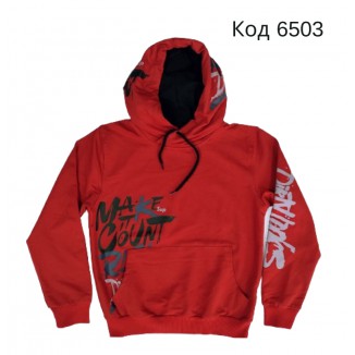 Tr Реглан з капюшоном для хлопчика Bold 6905  140-176  4 шт