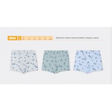 BR Шорти боксери для хлопчика 3414  6(3) шт