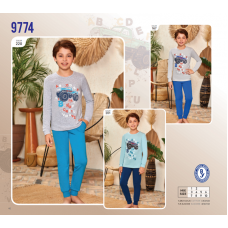 BR Піжама для хлопчика 01-02 стрейч/бавовна  9774    01,02  2 шт.