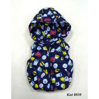 China Жилетка для хлопчика з капюшоном синтапон на флісі 2-6 років  5(4) шт