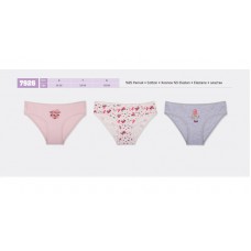 BR Труси для дівчинки підліток 7926,99     12(6) шт.
